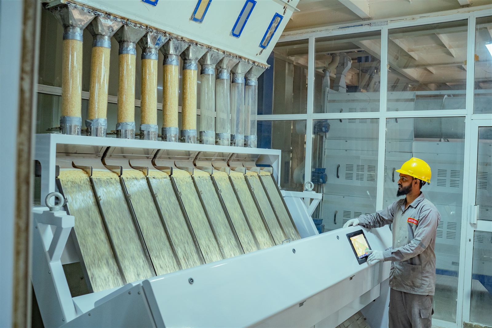 Operator monitoring the Satake colour sorter at the Rachna Foods plant